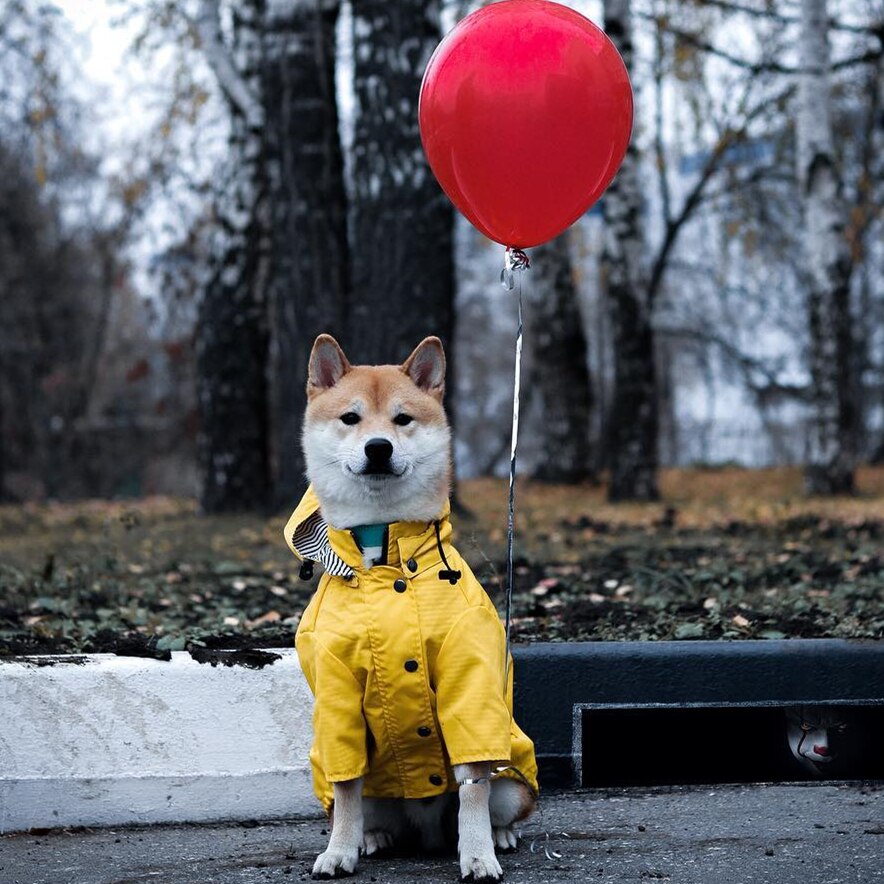My Best 4 Pets Store