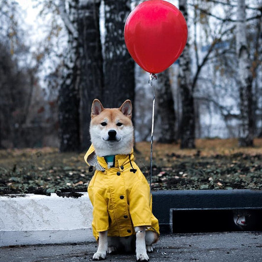 Dog Raincoat Pet Clothes Dog Clothes Rain Water (this item runs small so large would fit a medium etc)