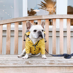 Dog Raincoat Pet Clothes Dog Clothes Rain Water (this item runs small so large would fit a medium etc)