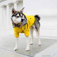 Dog Raincoat Pet Clothes Dog Clothes Rain Water (this item runs small so large would fit a medium etc)