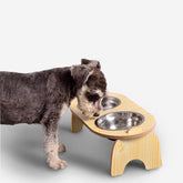 Double Bowl 15 Degrees Cervical Spine Dog Food Bowl Wooden Stand