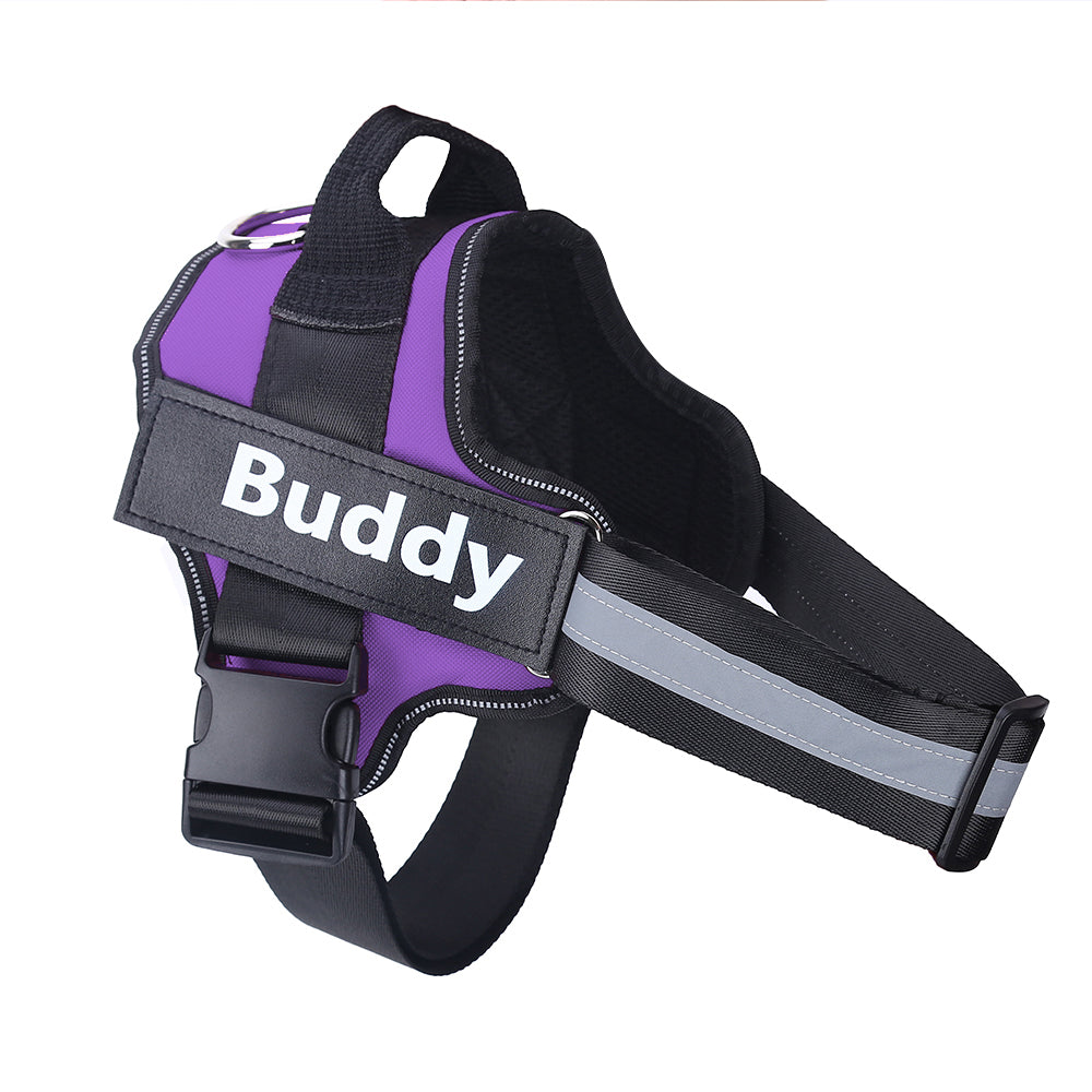 Reflective Breathable Adjustable Pet